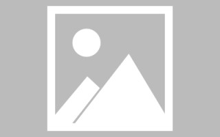 上海制作网站发布信息（网站如何发布信息）